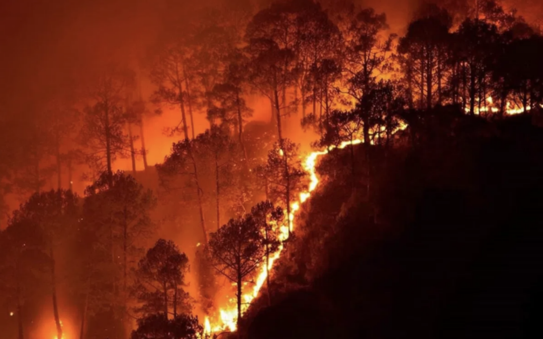 Will California’s wildfire prevention efforts be enough?